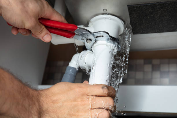 Best Water damage restoration mold remediation  in Caryville, TN