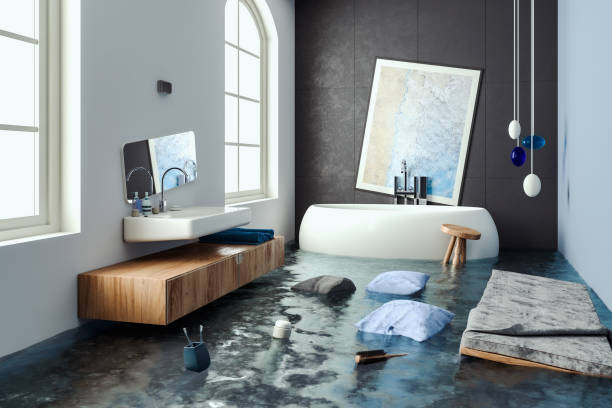 Best Flood damage cleanup  in Caryville, TN