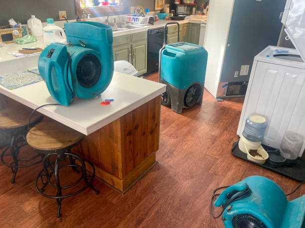 Best Professional water damage repair  in Caryville, TN