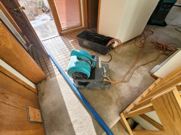 Best Flood restoration services  in Caryville, TN