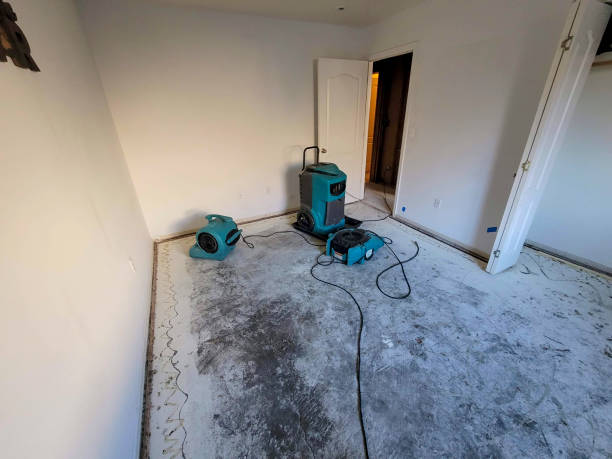 Best Flooded house restoration  in Caryville, TN