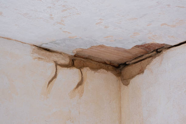Best Flooded house restoration  in Caryville, TN