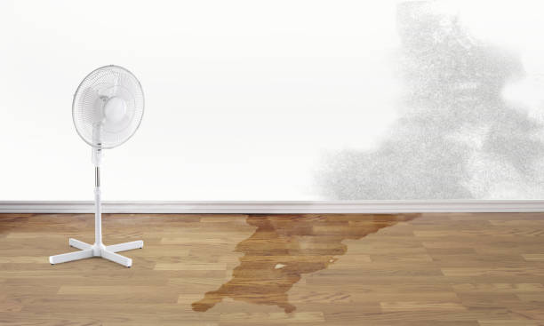 Best 24/7 water damage repair  in Caryville, TN