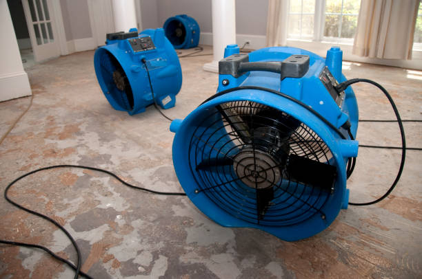  Caryville, TN Water damage restoration Pros