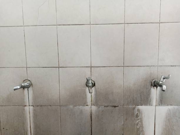 Best Residential water damage restoration  in Caryville, TN