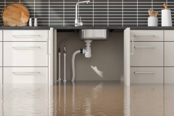 Best Carpet water damage restoration  in Caryville, TN