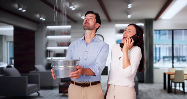 Best Commercial water damage restoration  in Caryville, TN