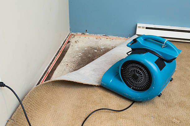 Water damage restoration mold remediation in TN
