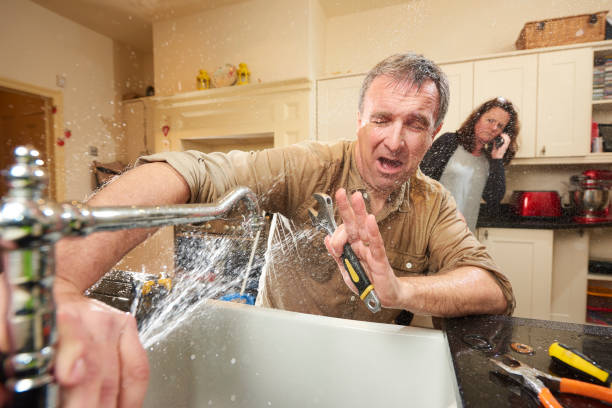Best Fire Damage Restoration  in Caryville, TN